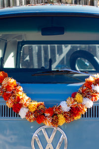 Pom Pom Garland