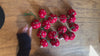 Felt Mushroom Garland