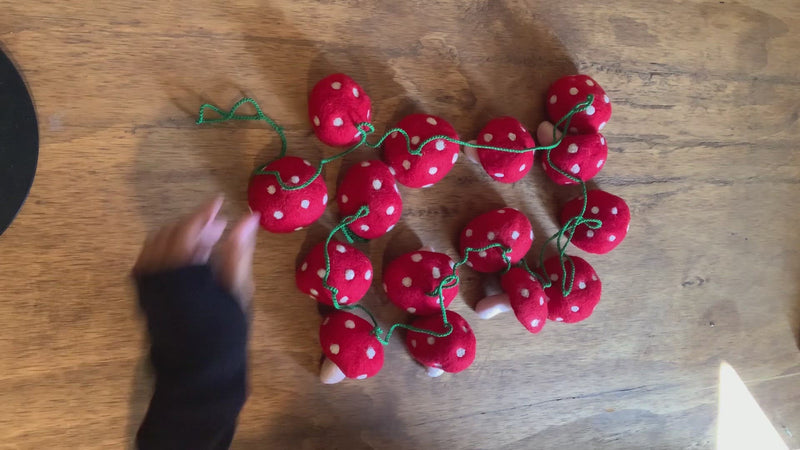 Felt Mushroom Garland